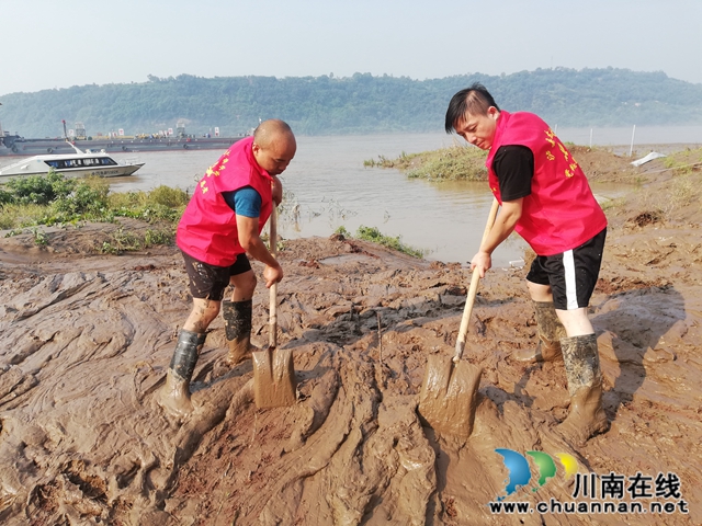 泸县太伏镇：连续作战 清淤在行动