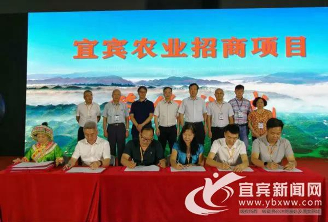 宜宾加快融入粤港澳大湾区“菜篮子”“朋友圈”(图1)