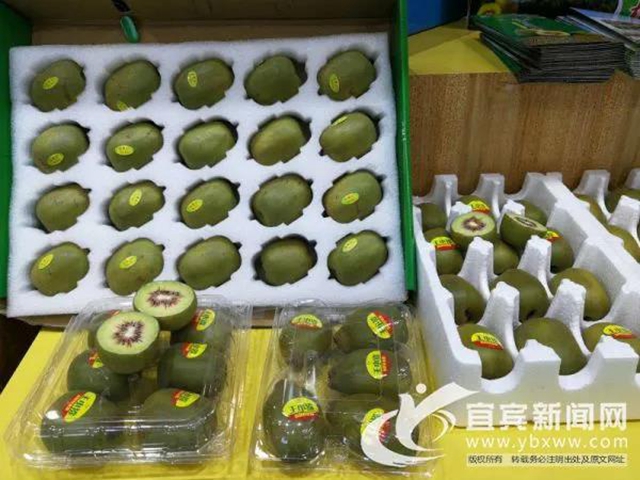 宜宾加快融入粤港澳大湾区“菜篮子”“朋友圈”(图4) 宜宾加快融入粤港澳大湾区“菜篮子”“朋友圈”(图4)