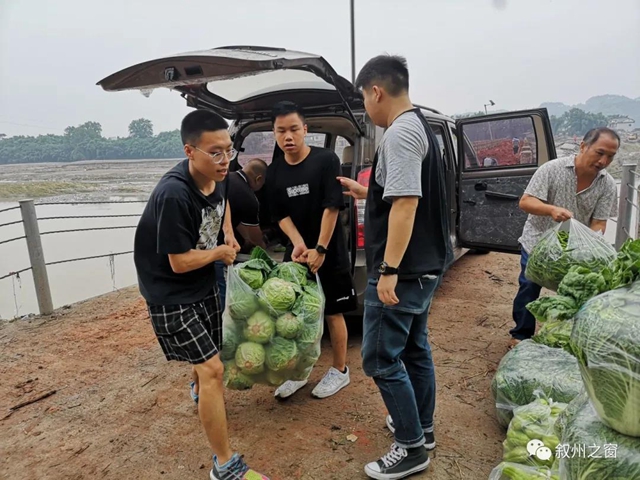 点赞！宜宾三名大学生向泥溪捐赠1000斤新鲜蔬菜(图3)