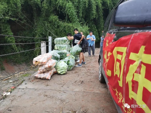 点赞！宜宾三名大学生向泥溪捐赠1000斤新鲜蔬菜