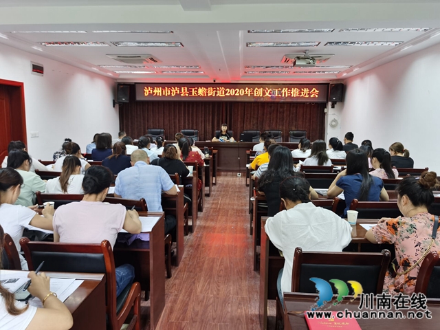 泸县玉蟾街道开展创建四川省文明城市工作推进会暨宣传思想文化工作业务培训会