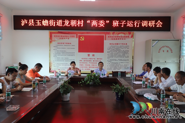 泸县玉蟾街道开展村（社区）“两委”班子运行分析调研