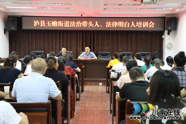 泸县玉蟾街道召开网格员业务培训会