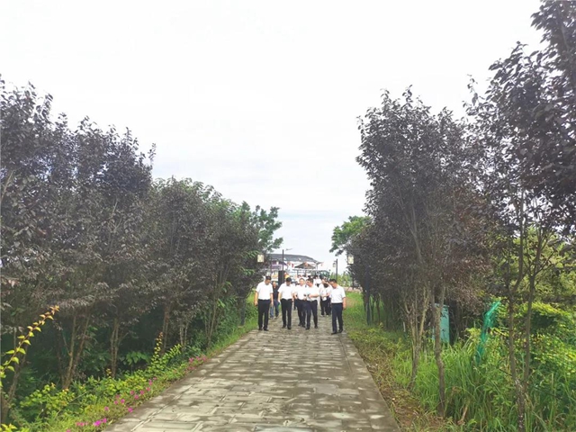 同城!同城!内江自贡“伙到”一次耍完!真的要实现了(图2) 同城!同城!内江自贡“伙到”一次耍完!真的要实现了(图2)