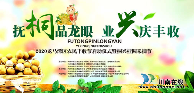 好吃好看又好耍！29日到龙马潭区桐兴享受”桂圆节大餐“！