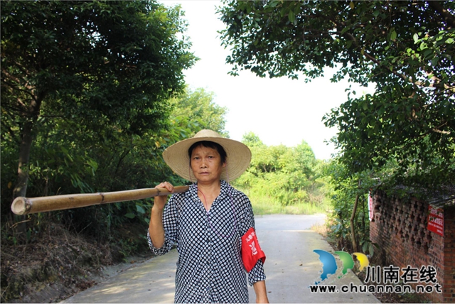 泸县玉蟾街道持续开展森林防灭火及秸秆禁烧巡查(图2) 泸县玉蟾街道持续开展森林防灭火及秸秆禁烧巡查(图2)