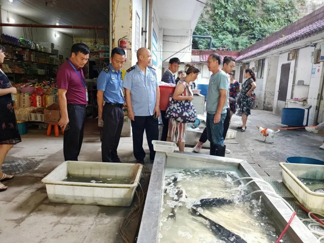 文明城市迎复检 泸州市场监管人全力备战!(图4) 文明城市迎复检 泸州市场监管人全力备战!(图4)
