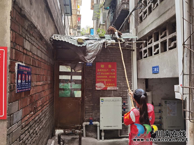 龙马潭区小市街道:“志愿红”助力全国文明城市建设(图4) 龙马潭区小市街道:“志愿红”助力全国文明城市建设(图4)