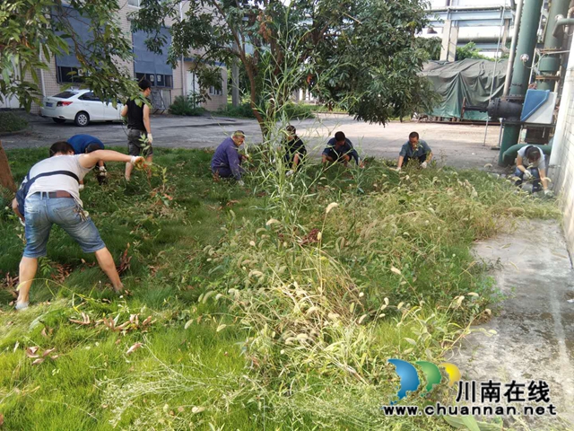 四川新火炬公司积极开展创文活动(图2)