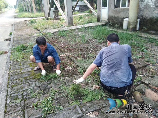 四川新火炬公司积极开展创文活动(图4)