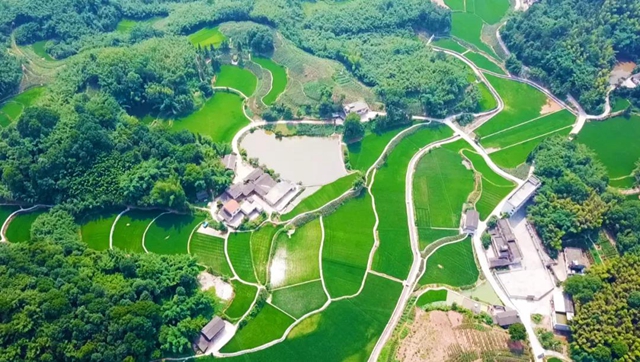 好日子，就在阡陌纵横间(图3)