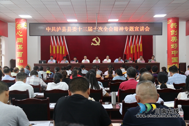 泸县百和镇专题传达学习县委十三届十次全会精神(图1)