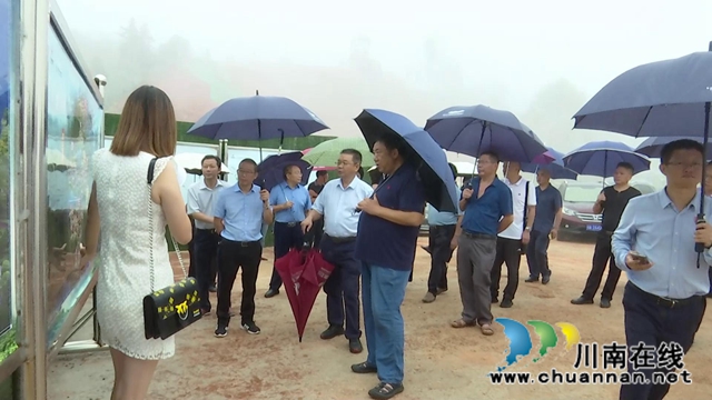 合江县人大常委会视察旅游重点建设项目(图1)