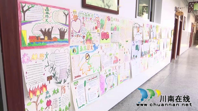 合江县中小学：开学第一课，安全记心间(图1)