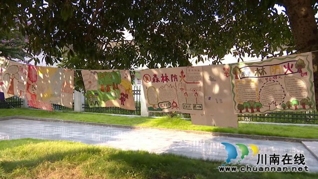 合江县中小学：开学第一课，安全记心间(图4)