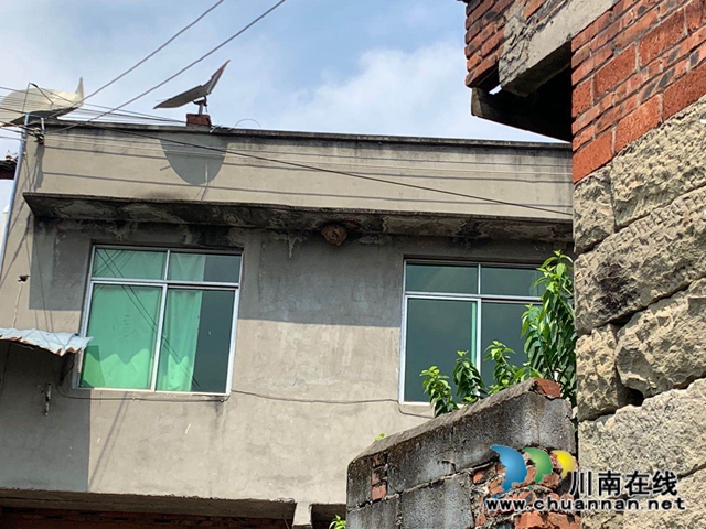 内江经开区靖民镇凉风社区：辖区巡有马蜂窝，格格积极消隐患(图1)