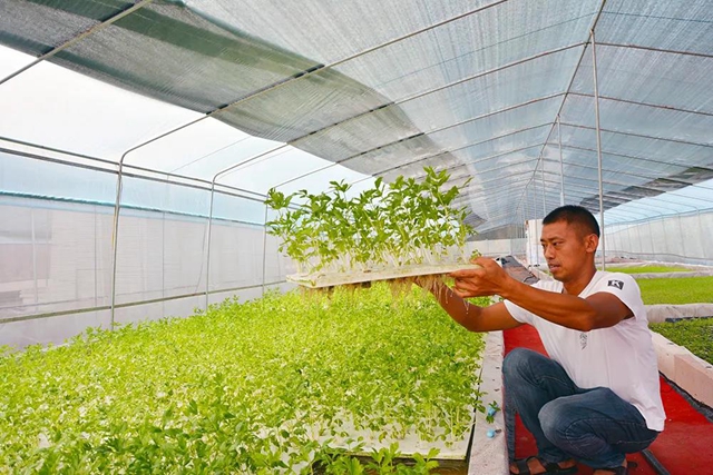 老百姓关心的“菜篮子”"米袋子"情况怎样?自贡官方发布一组数据(图4) 老百姓关心的“菜篮子”"米袋子"情况怎样?自贡官方发布一组数据(图4)