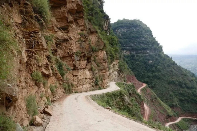 一封倡议书发出后,马鹿村的核桃火了!(图4) 一封倡议书发出后,马鹿村的核桃火了!(图4)