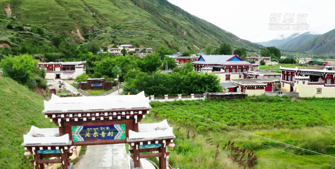 村里来了位“掏粪书记”