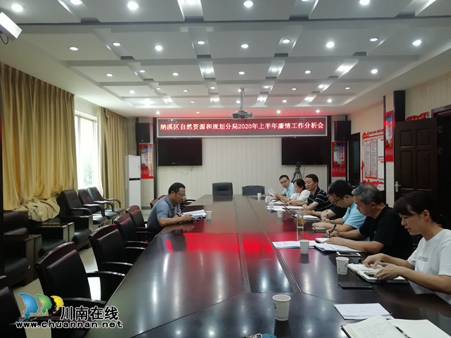 纳溪区自然资源和规划分局召开上半年廉情分析会暨第三季度履责汇报会 (图1)