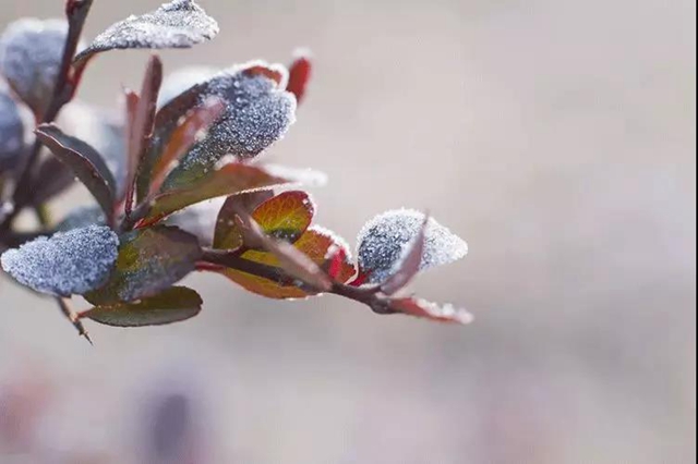 【白露】今日起，这些水果不能再吃了！(图2)