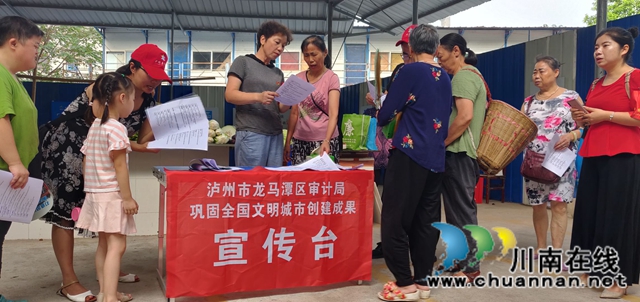 龙马潭区审计局常态化推进全国文明城市建设工作(图1)