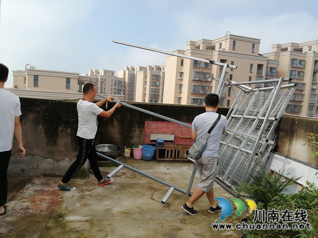 内江经开区靖民镇双雁社区：鸽子棚违规影响生活，拆！(图1)