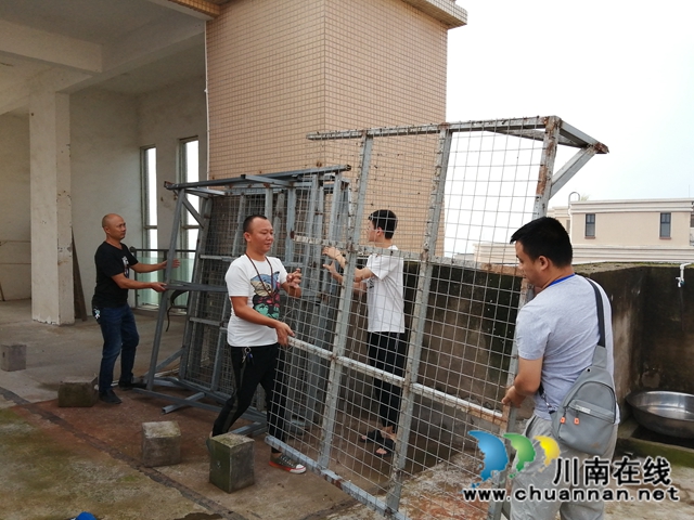 内江经开区靖民镇双雁社区：鸽子棚违规影响生活，拆！(图2)