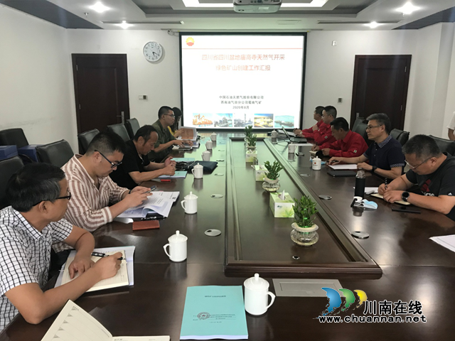 省自然资源厅到泸州复核绿色矿山申报工作(图1)