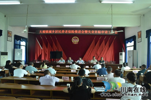 宜宾南溪区大观镇召开城乡居民养老保险推进会暨失业补贴申请工作会(图1)