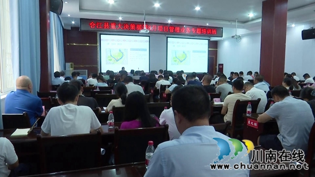 合江县举办2020年度重大决策部署8月项目管理业务专题培训班(图1)
