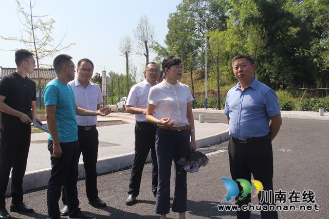 杨双全率队到泸县云龙镇调研云龙空港产业特色镇二期项目建设情况(图1)