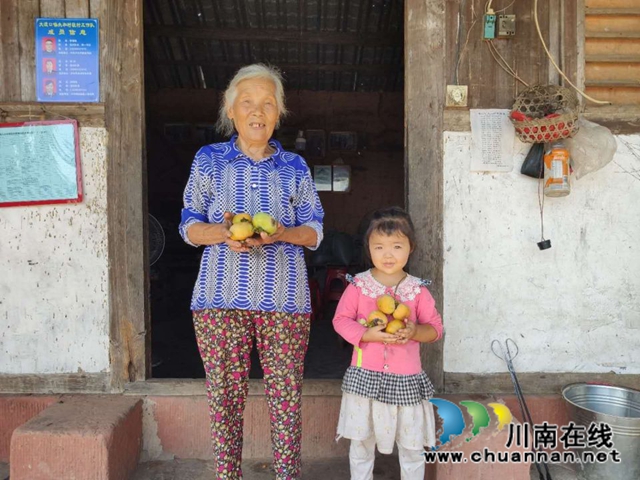 纳溪法院：“一站式”精准扶贫  脱贫户“柿柿”如意(图1)