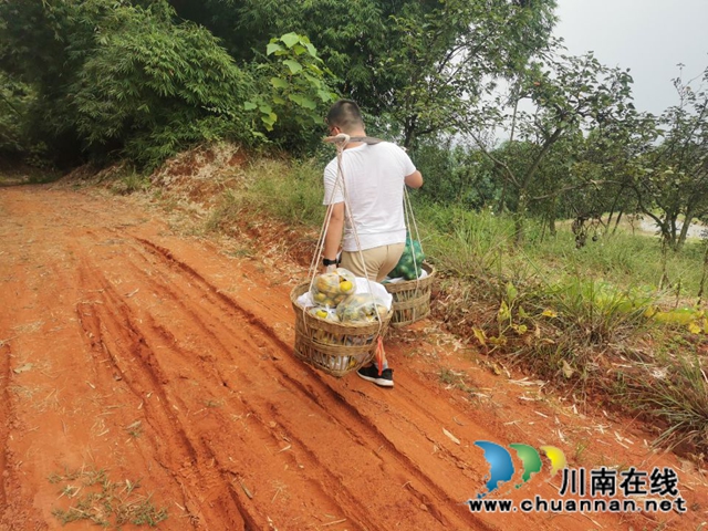 纳溪法院：“一站式”精准扶贫  脱贫户“柿柿”如意(图10)