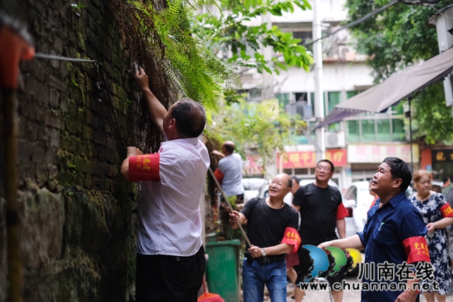 龙马潭区小市街道：退休党员发挥余热 助力文明城市建设(图1)