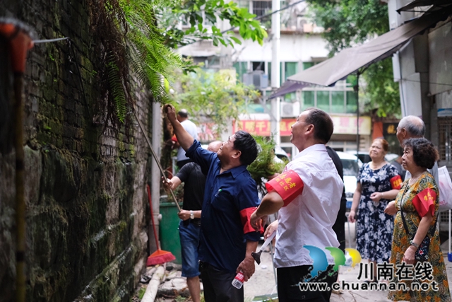龙马潭区小市街道：退休党员发挥余热 助力文明城市建设(图2)