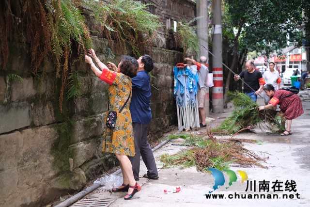 龙马潭区小市街道：退休党员发挥余热 助力文明城市建设(图6)