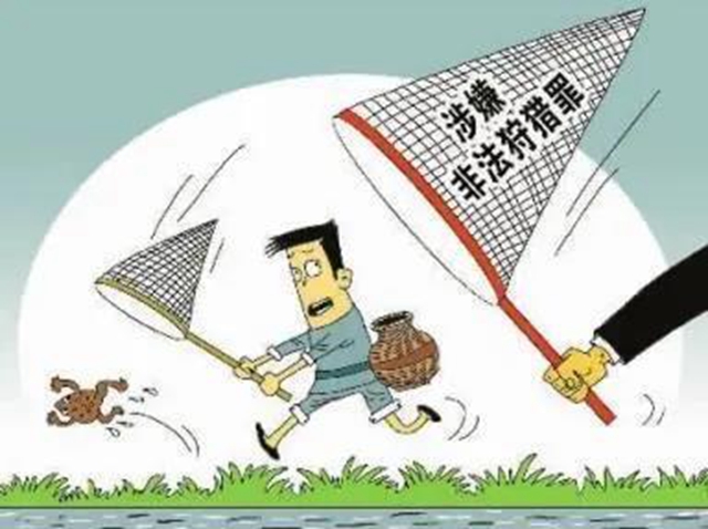 泸州两村民逮癞蛤蟆被判刑!法官:癞蛤蟆不是你想逮就能逮的(图2) 泸州两村民逮癞蛤蟆被判刑!法官:癞蛤蟆不是你想逮就能逮的(图2)