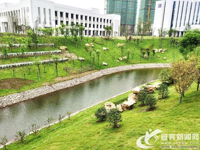 重磅！又一所大学在宜宾开校(图7)