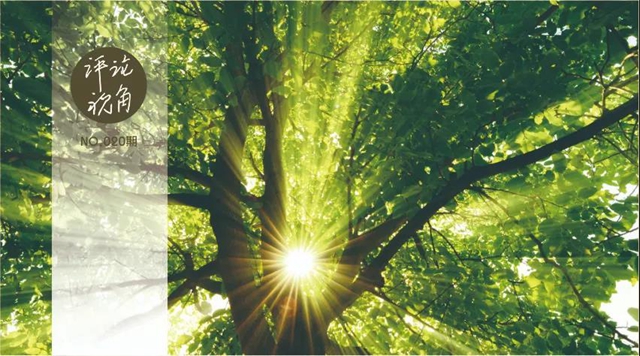 教师节特稿┃徐潋：一棵树走着、走着，就预示着一座座森林(图2)