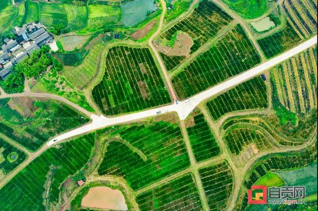 7月下闸蓄水，自贡狸狐洞水库如今情况如何？来看航拍！(图5)