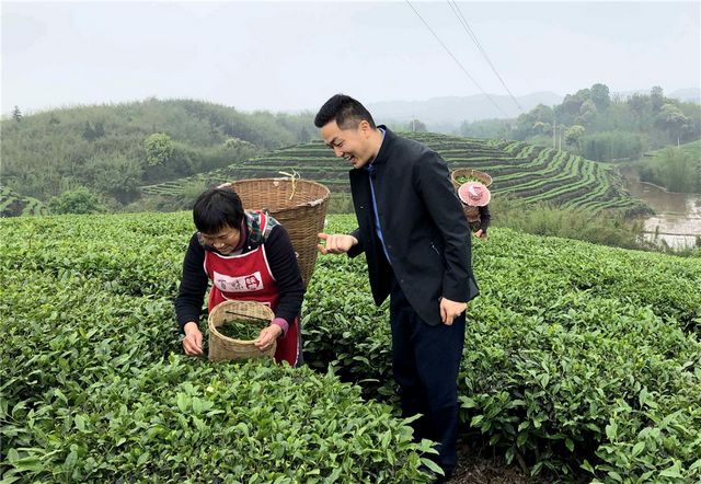 【关注】乡村振兴｜四川纳溪：“特聘村主任”显担当(图2)