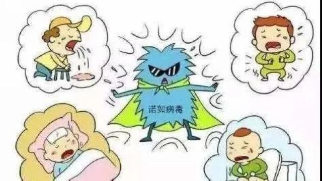 【关注】两地发生群体感染诺如病毒事件，进入秋季，千万别放松警惕！(图5)