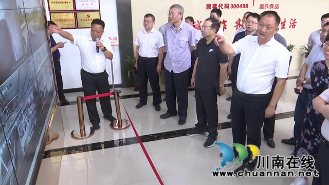 国家发改委宏观经济研究院到合江县调研“泸永江融合发展示范区”建设(图4)