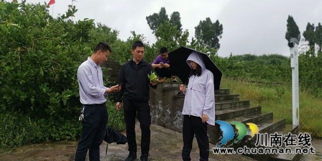 关注特色风土人情 江苏卫视《从长江的尽头回家》节目组来合江踩点(图5)