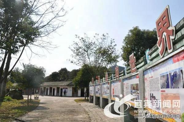 建言献策把脉支招 两院院士为宜宾发展“赋能”(图4)