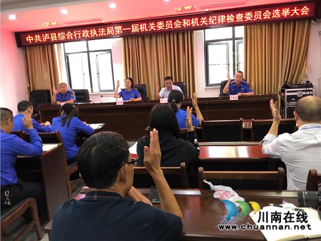 泸县综合行政执法局圆满完成机关党委第一届选举工作(图5)