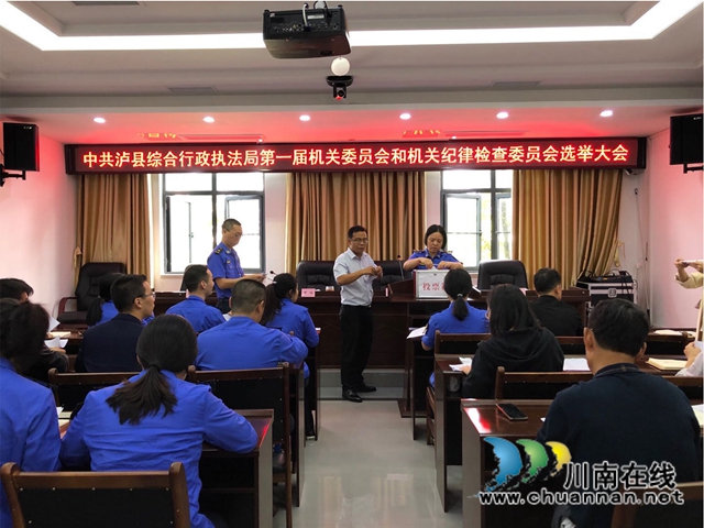 泸县综合行政执法局圆满完成机关党委第一届选举工作(图3)