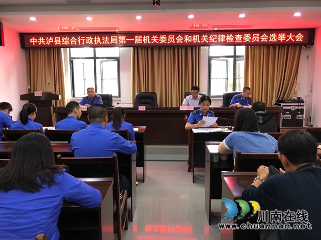 泸县综合行政执法局圆满完成机关党委第一届选举工作(图6)